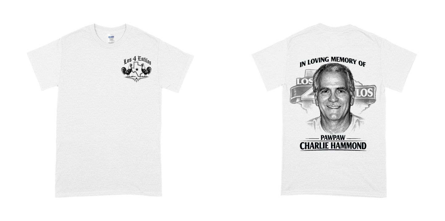 Gildan 5000 — White / 2XL