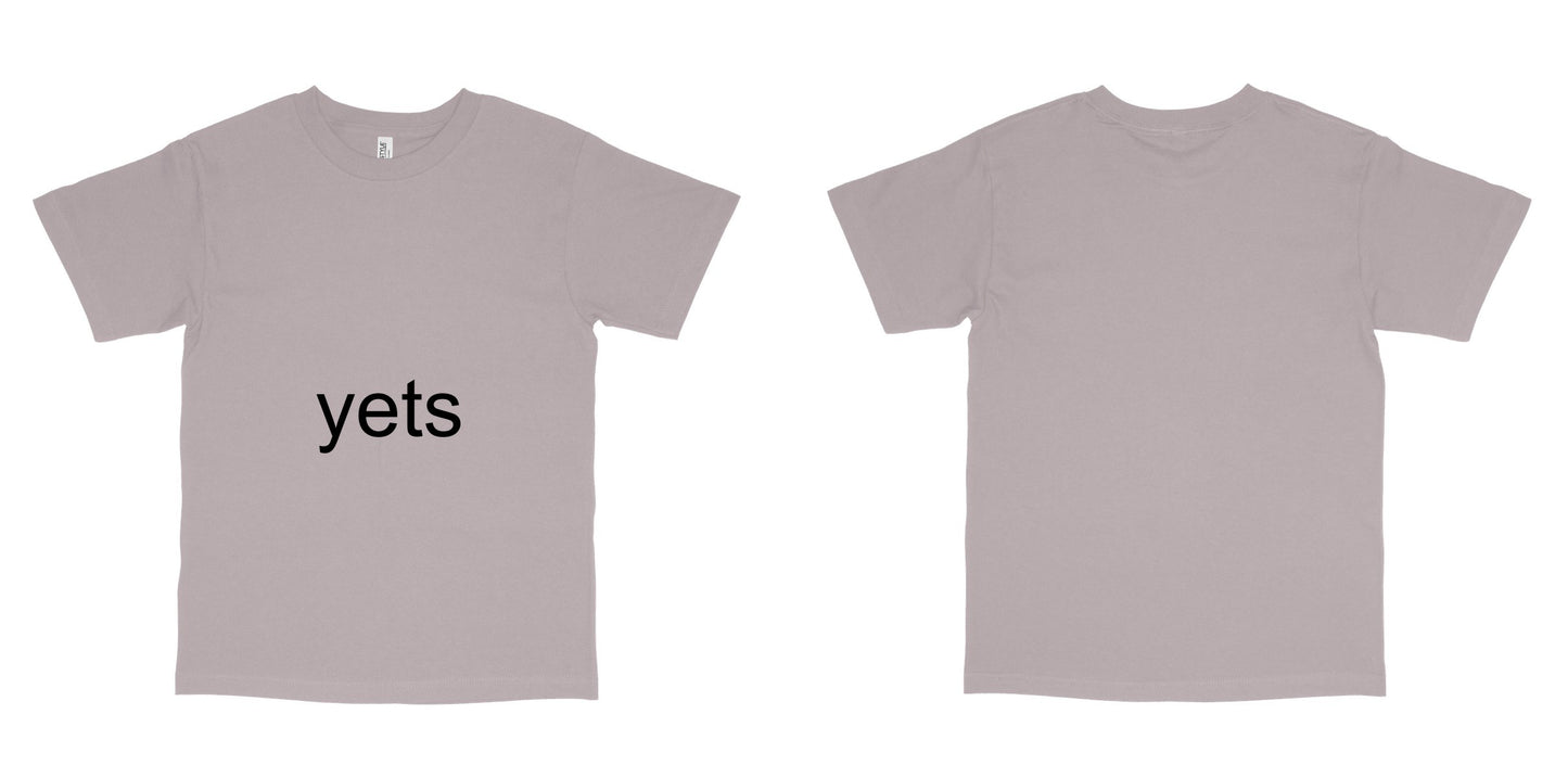 American Apparel 1301 — Ash Grey / S