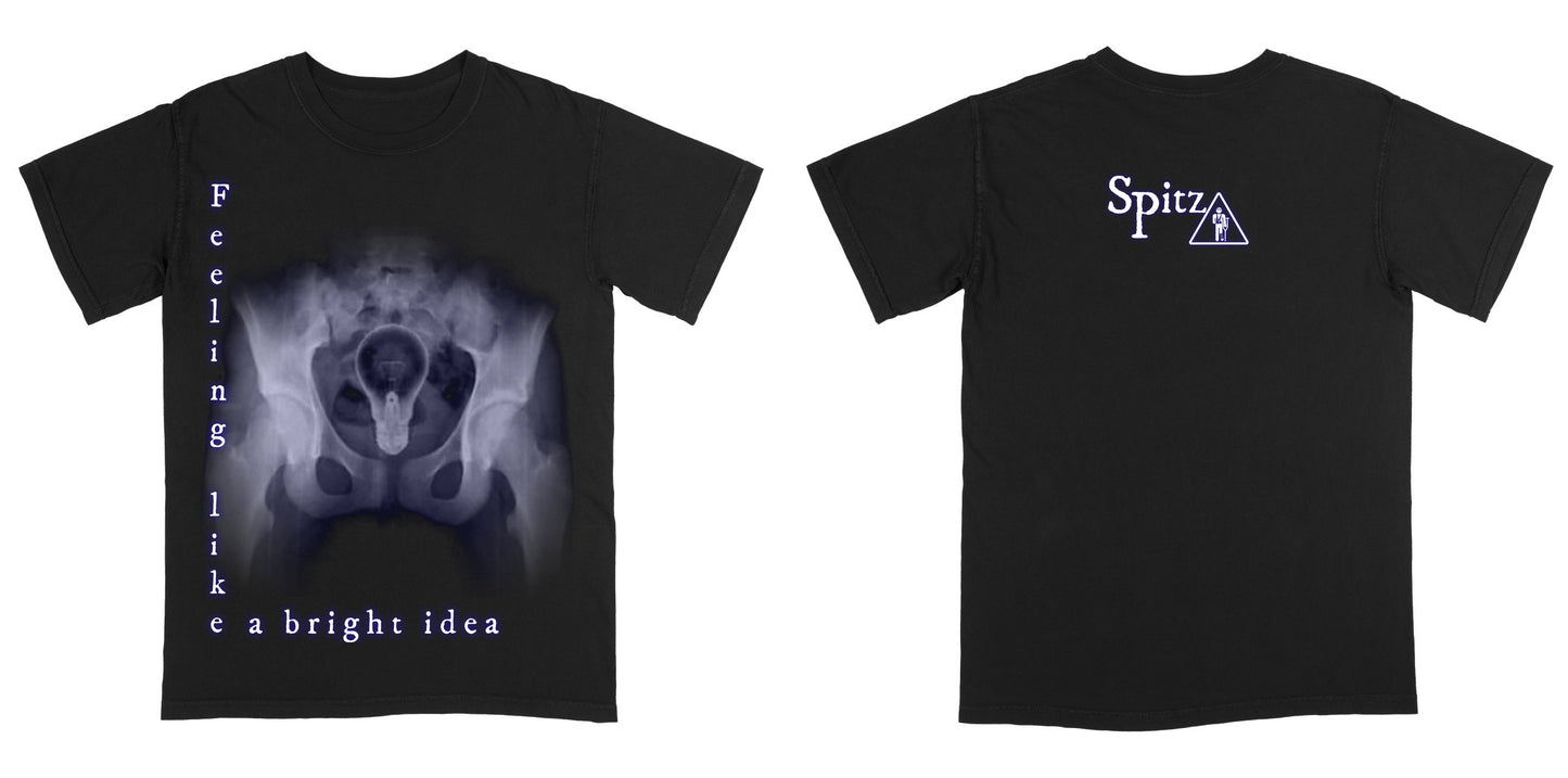 Comfort Colors 1717 — Black / M