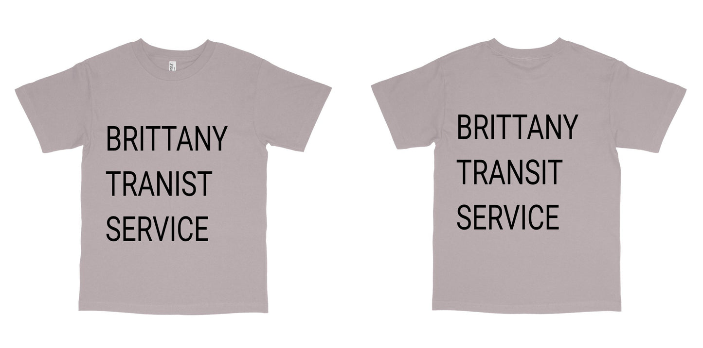American Apparel 1301 — Ash Grey / L