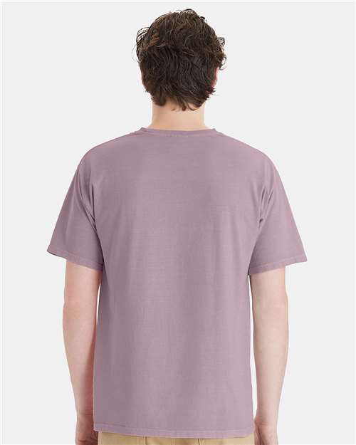 ComfortWash by Hanes GDH11B - Botanical Nimbus (Back)