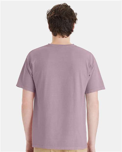 ComfortWash by Hanes GDH11B - Botanical Nimbus (Back)