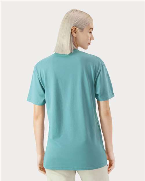 American Apparel 5389 - Sueded Arctic (Back)
