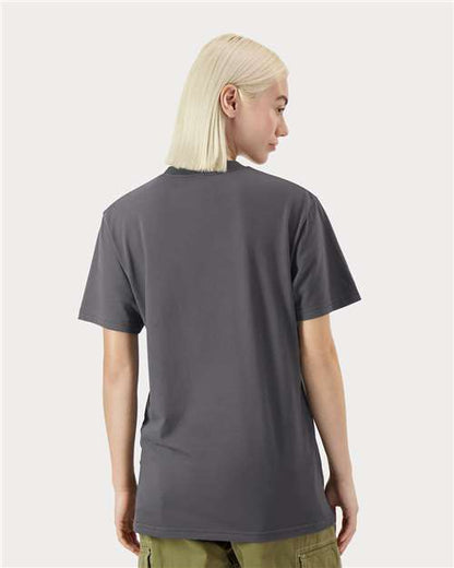 American Apparel 5389 - Sueded Asphalt (Back)