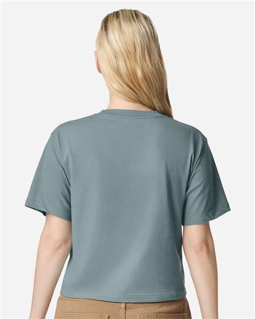 American Apparel 102 - Arctic (Back)