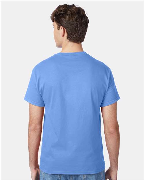 Hanes 5250 - Carolina Blue (Back)