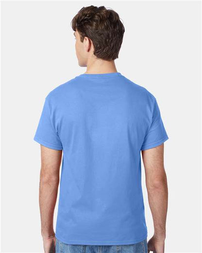 Hanes 5250 - Carolina Blue (Back)