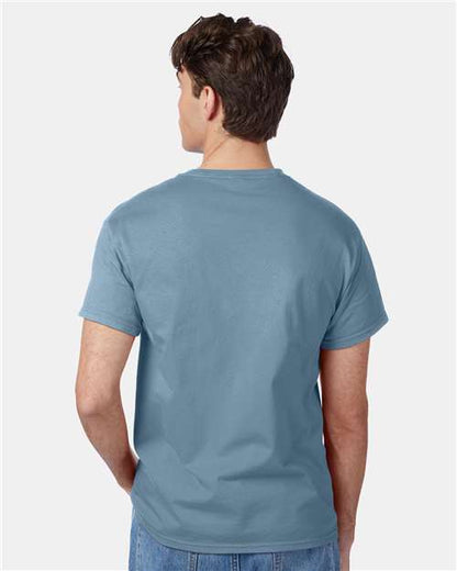 Hanes 5250 - Stonewashed Blue (Back)