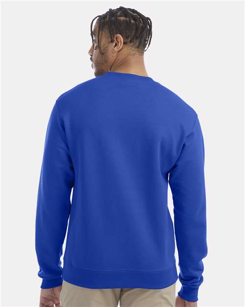 Champion S600 - Royal Blue (Back)