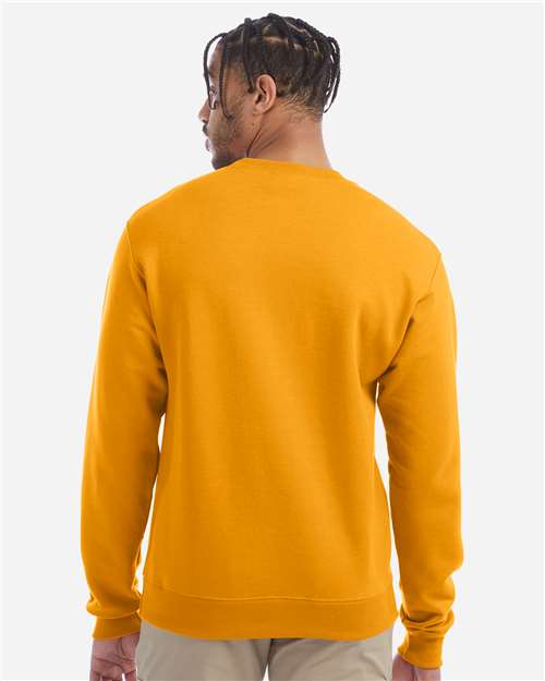Champion S600 - Gold (Back)