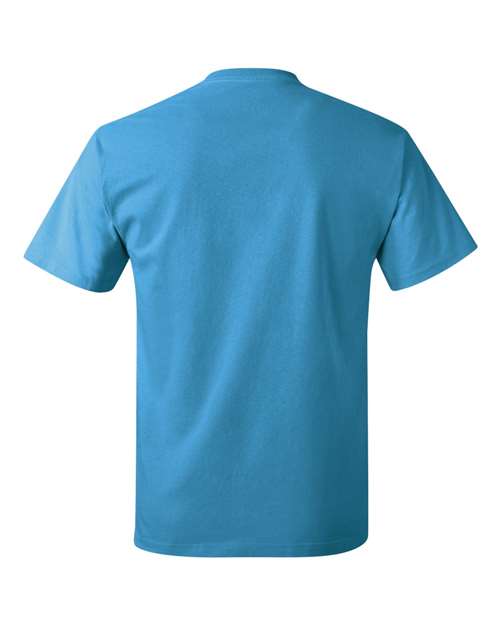 Hanes 5250 - Sapphire (Back)