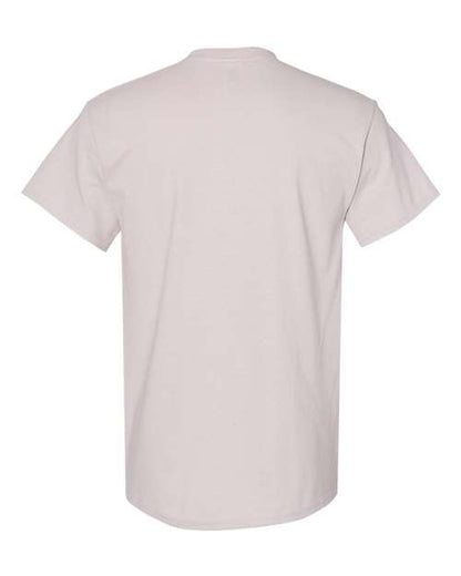 Gildan 5000 - Ice Grey (Back)