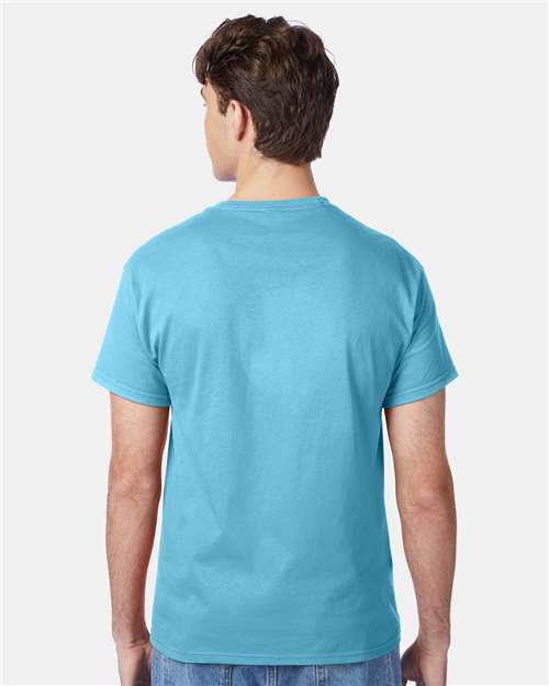 Hanes 5250 - Blue Horizon (Back)
