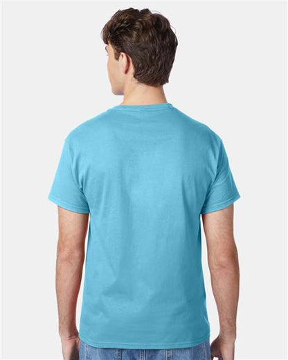 Hanes 5250 - Blue Horizon (Back)