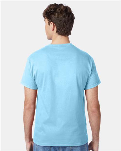 Hanes 5250 - Aquatic Blue (Back)