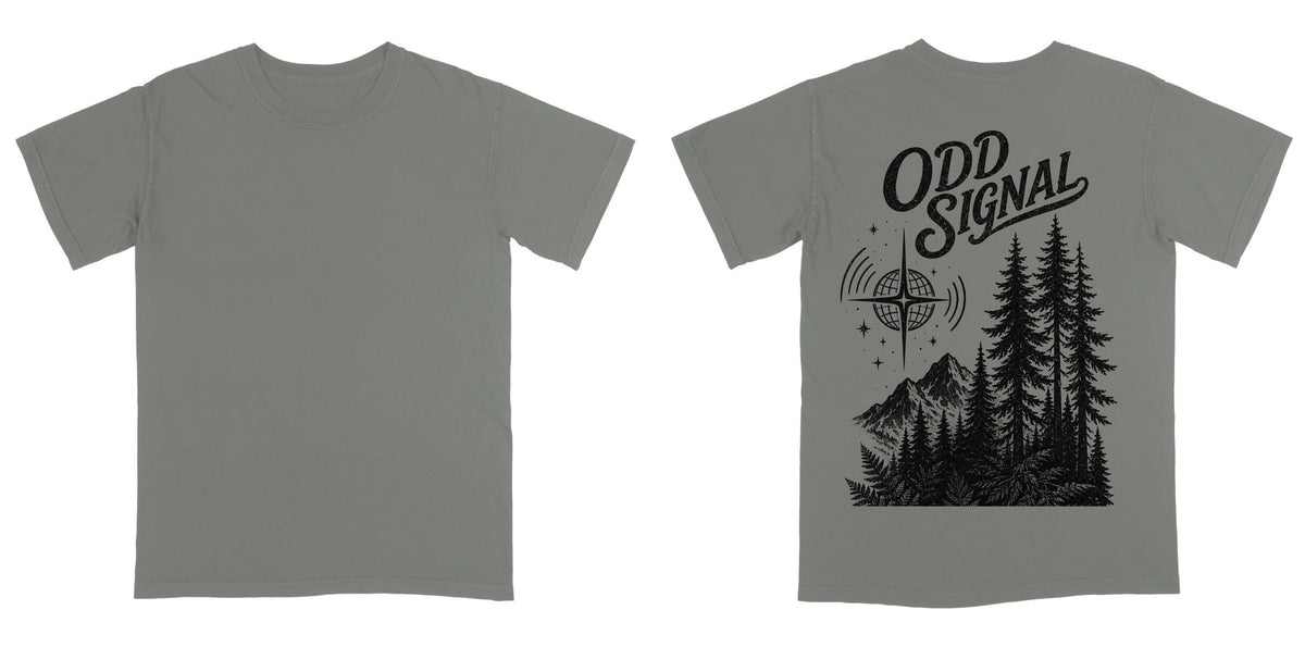 Comfort Colors 1717 — Grey / S