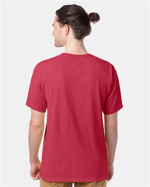 ComfortWash by Hanes GDH100 - Crimson Fall (Back)