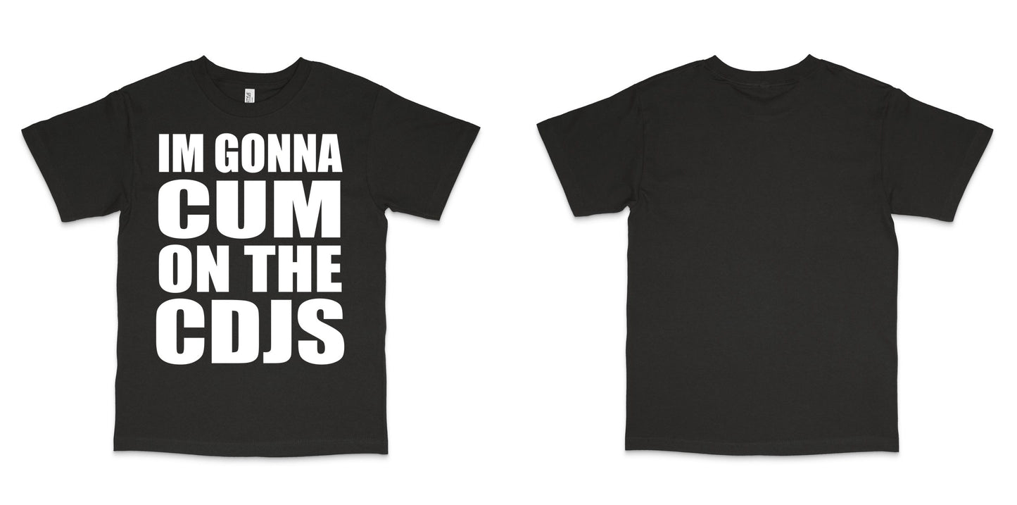 American Apparel 1301GD — True Black / M