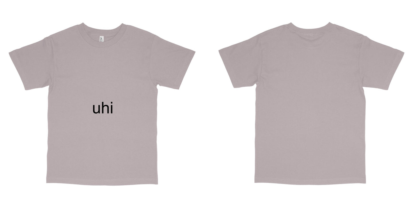 American Apparel 1301 — Ash Grey / XL