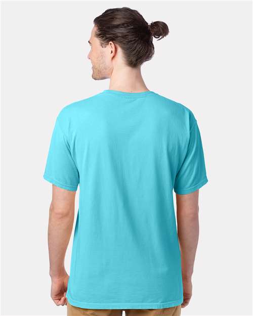 ComfortWash by Hanes GDH100 - Freshwater (Back)