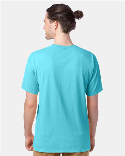 ComfortWash by Hanes GDH100 - Freshwater (Back)
