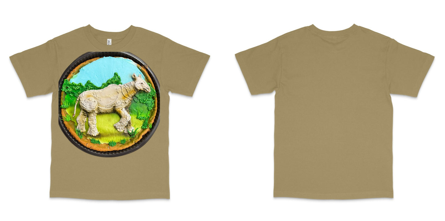 American Apparel 1301GD — Faded Army / L