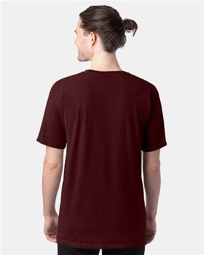 ComfortWash by Hanes GDH100 - Maroon (Back)