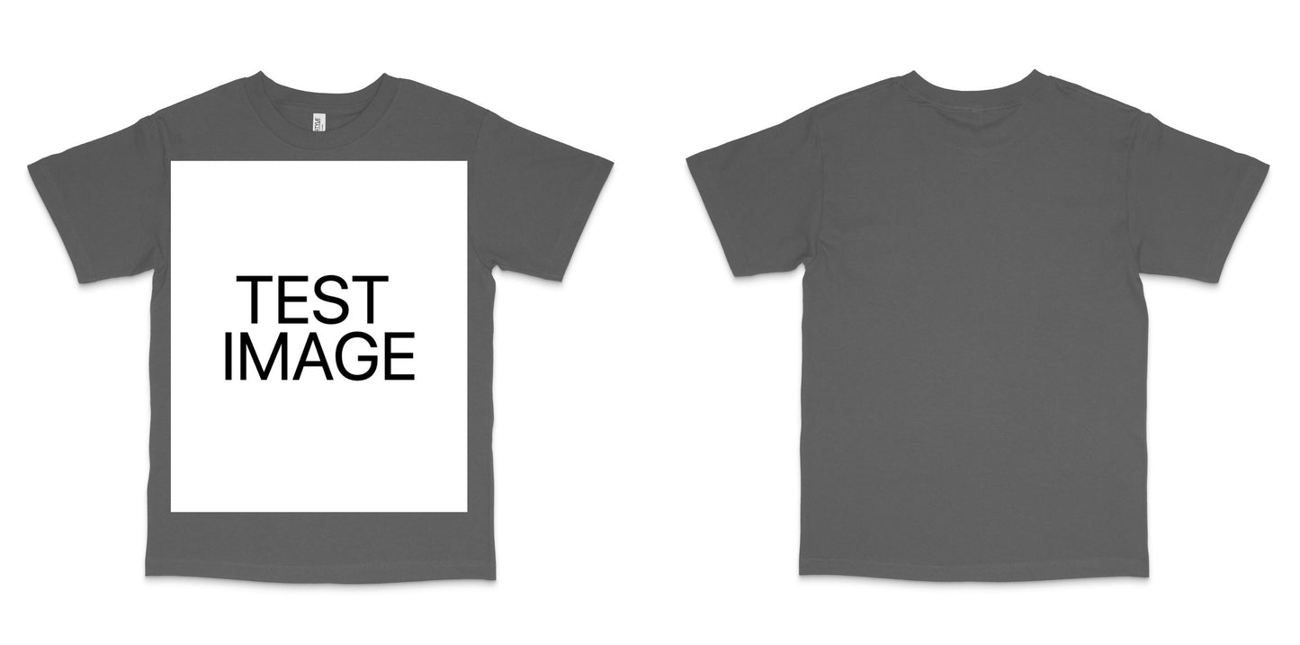 American Apparel 1301GD — Faded Black / L