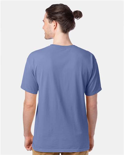 ComfortWash by Hanes GDH100 - Frontier Blue (Back)