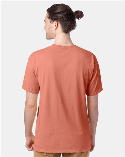 ComfortWash by Hanes GDH100 - Clay (Back)