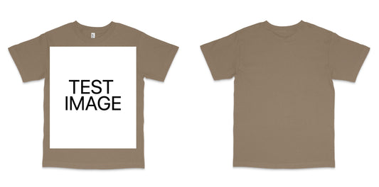 American Apparel 1301GD — Faded Brown / L