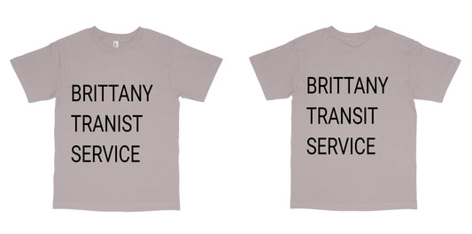 American Apparel 1301 — Ash Grey / L