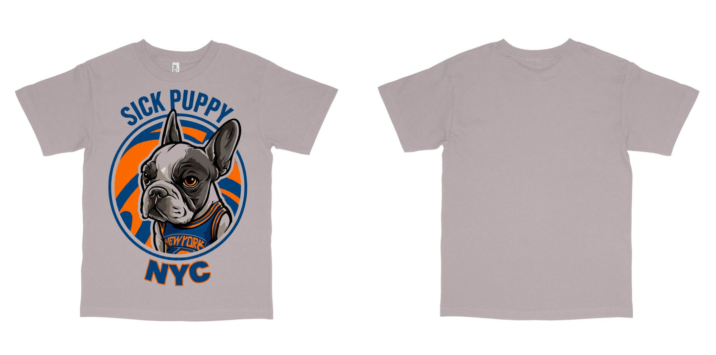American Apparel 1301 — Ash Grey / XL
