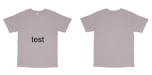 American Apparel 1301 — Ash Grey / 2XL