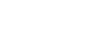 Next Level